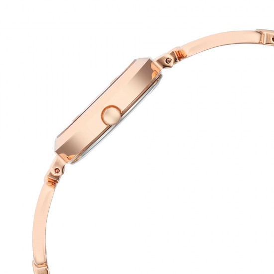 Titan Raga 2725WM01 Rose Gold Dial Metal Strap Quartz Women's Watch