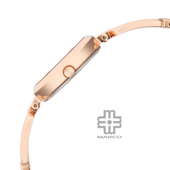 Titan Raga 2725WM01 Rose Gold Dial Metal Strap Quartz Women's Watch