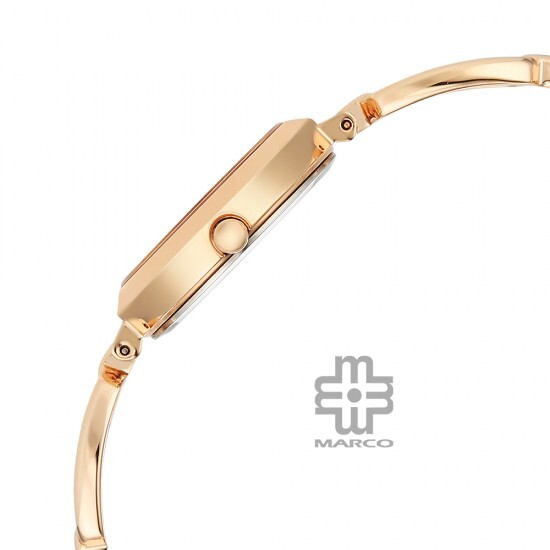 Titan Raga 2725WM02 Rose Gold Dial Metal Strap Women Watch