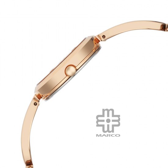 Titan Raga 2727WM01 Rose Gold Dial Metal Strap Quartz Women's Watch