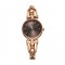 Titan Raga Ascend 2748WM01 Brown Dial Metal Strap Quartz Women's Watch