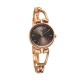 Titan Raga Ascend 2748WM01 Brown Dial Metal Strap Quartz Women's Watch Titan Raga Ascend 2748WM01 Brown Dial Metal Strap Quartz Women's Watch