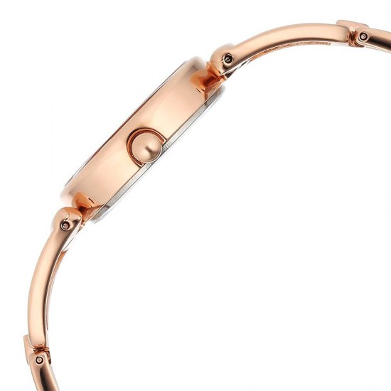 Titan Raga Ascend 2748WM01 Brown Dial Metal Strap Quartz Women's Watch Titan Raga Ascend 2748WM01 Brown Dial Metal Strap Quartz Women's Watch