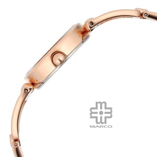 Titan Raga Ascend 2748WM01 Brown Dial Metal Strap Quartz Women's Watch