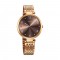 Titan Workwear 2783WM01 Brown Dial Stainless Steel Strap Quartz Women's Watch
