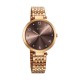 Titan Workwear 2783WM01 Brown Dial Stainless Steel Strap Quartz Women's Watch