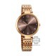 Titan Workwear 2783WM01 Brown Dial Stainless Steel Strap Quartz Women's Watch