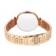 Titan Workwear 2783WM01 Brown Dial Stainless Steel Strap Quartz Women's Watch