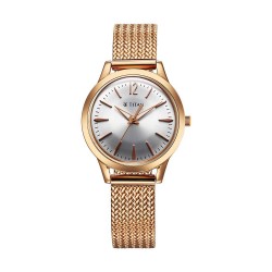 Titan Timeless Urban 95287WM01 Silver Dial Metal Strap Quartz Women's Watch