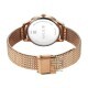 Titan Timeless Urban 95287WM01 Silver Dial Metal Strap Quartz Women's Watch