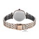 Titan Work Mode 95351KM01 Silver Dial Metal Strap Quartz Women's Watch