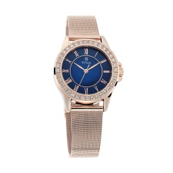 Titan Sparkle 9798WM03 Blue Dial Stainless Steel Strap Quartz Women Watch