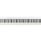 CASIO Digital Piano CDP-S110WE White (Piano Top ONLY)