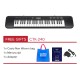 CASIO CTK-240 Standard Keyboard 49 Keys [ Free Adaptor + Woven Bag]