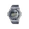 Casio G-Shock DW-6900SK-1 Semi-Trans Resin Band Men Watch