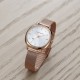 Hush Puppies Signature HP.3873L.9505 Rose Gold Mesh Stainless Steel Band Women Watch