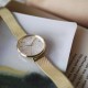 Hush Puppies Orbz HP.3876L.9507 Gold Mesh Stainless Steel Band Women Watch