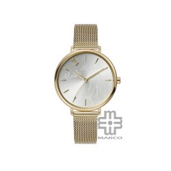 Hush Puppies Orbz HP.3876L.9507 Gold Mesh Stainless Steel Band Women Watch