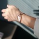 Hush Puppies Signature HP.3890L.1505 Rose Gold Stainless Steel Band Women Watch