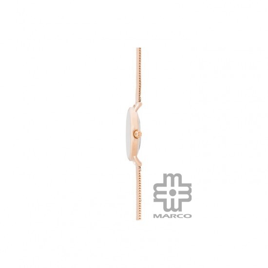 Reebok Chipper RV-CHI-L2-A3S3-W3 Gold Women Watch | Stainless Steel Mesh Strap | Analog Dial | 2Y Warranty Reebok Chipper RV-CHI-L2-A3S3-W3 Gold Women Watch | Stainless Steel Mesh Strap | Analog Dial | 2Y Warranty